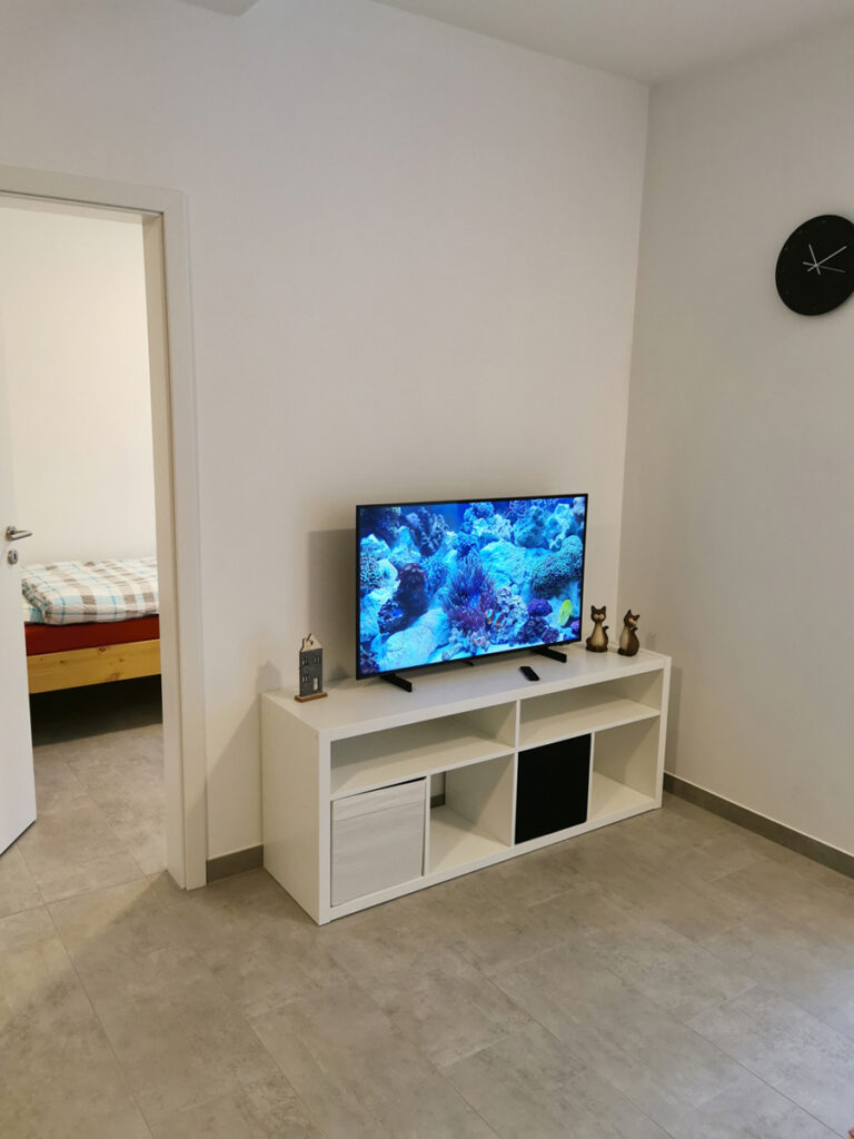 Fernseher im Wohnzimmer 1